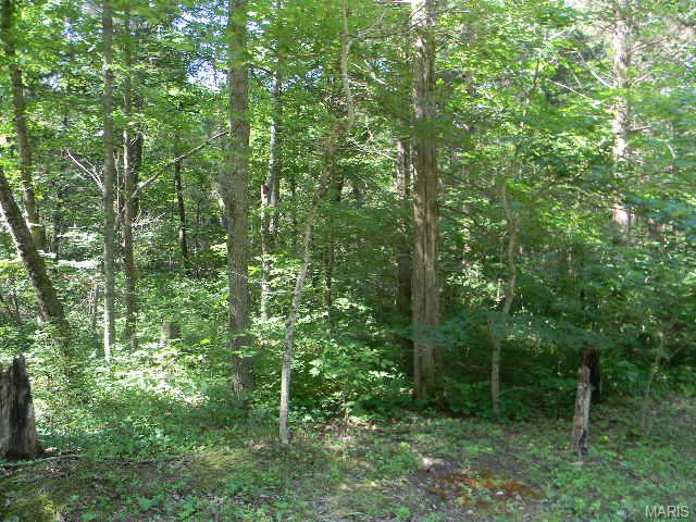 1 Acorn Trail - 20.92 Acres Robertsville, MO 63072