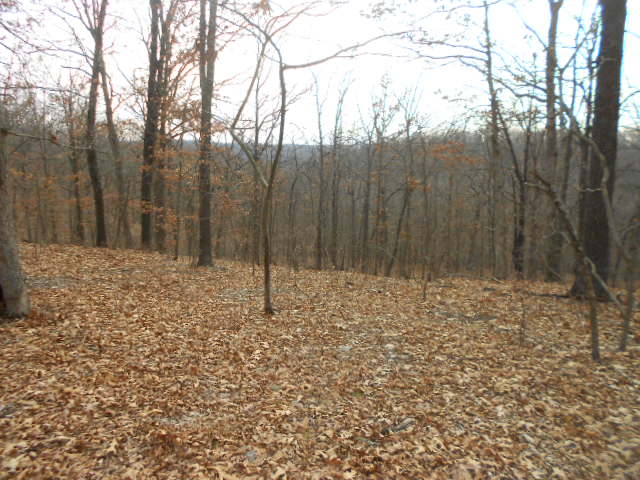 TBD Misty View Rd Barnett, MO 65011