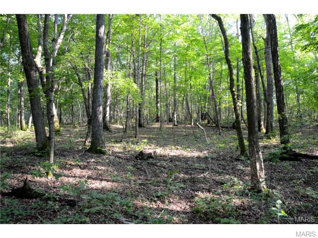 43 Acres Tower Road Warrenton, MO 65041