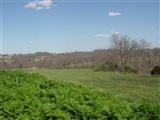 Lot 9 Grandview Estates Highlandville, MO 65669