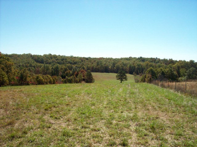TBD CR 4910 Pomona, MO 65789