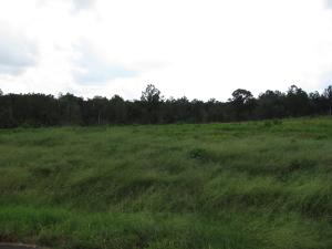 Lot 37 Short Look Dr. Carriere, MS 39457