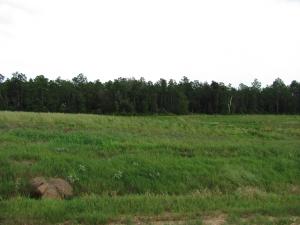 Lot 31 East Slope Dr. Carriere, MS 39457
