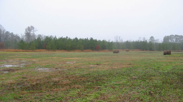 Lot 9 Ethridge Road Whitakers, NC 27891