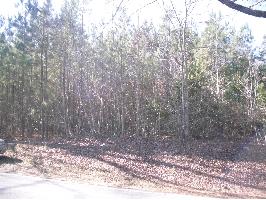 TBD Cartledge Creek Road Ellerbe, NC 28338