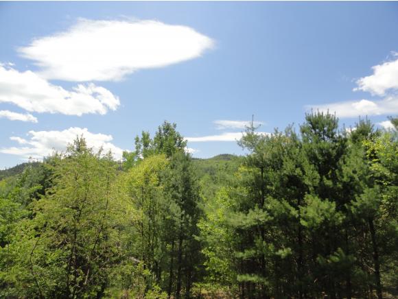 8 Harpers Circle Woodstock, NH 03293