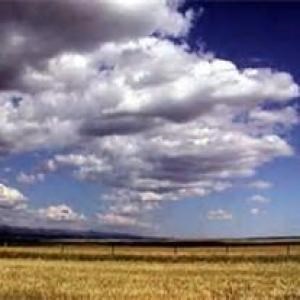 0 Ice Plant Rd. Mcintosh, Nm 87032 Mc Intosh, NM 87032