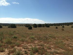 San Miguel Rd Las Vegas, NM 87560