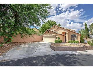 7636 Desert Green Ct Las Vegas, NV 89149