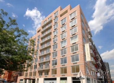 249 E 118th St #3A New York, NY 10035