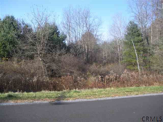 0 TURNPIKE RD Cambridge, NY 12028