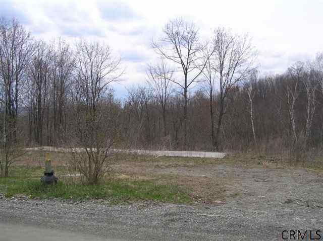 23 SHAKER HOLLOW RD Cambridge, NY 12057