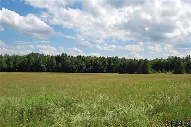 0 TRAVIS HILL RD Rensselaerville, NY 12469