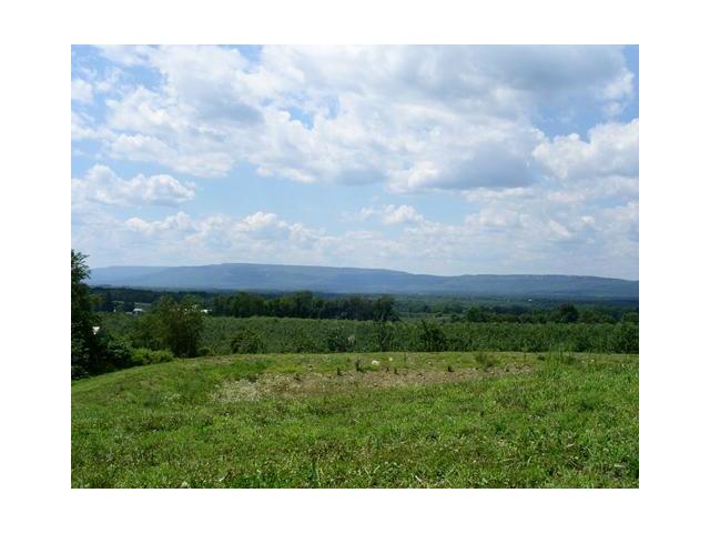 20 Palazzo Ln Clintondale, NY 12515