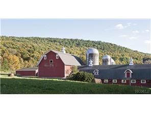 460 Sinpatch Road Amenia, NY 12592