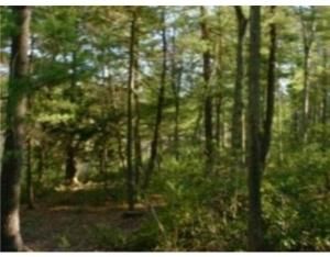 FORESTBURG ROAD Glen Spey, NY 12737