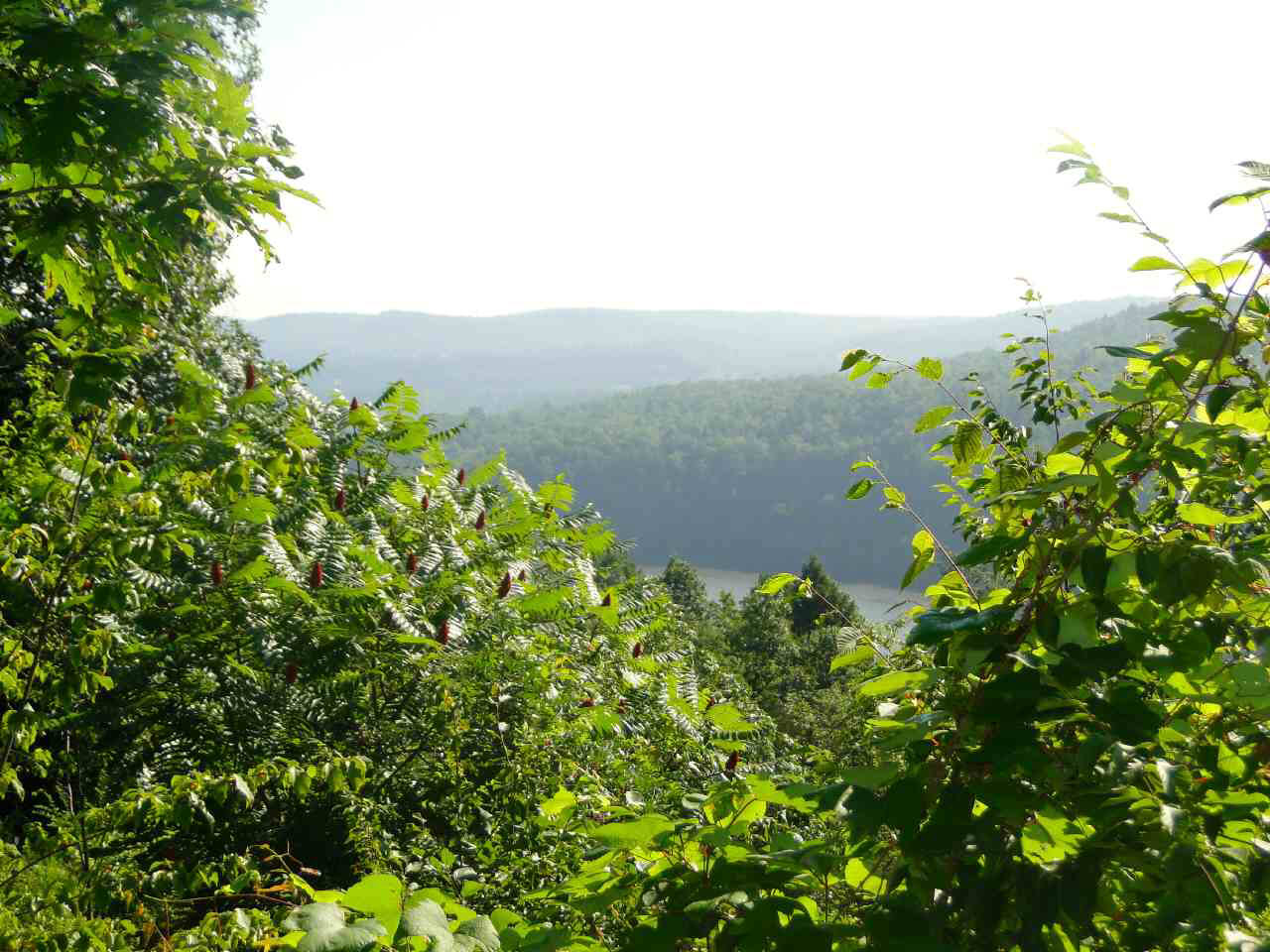 417 Pulpit Point Road Putnam Station, NY 12861