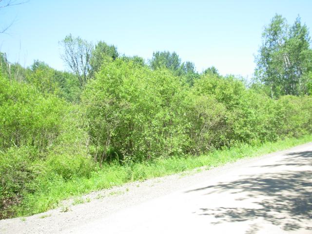 109 Hamilton Road Lisle, NY 13797