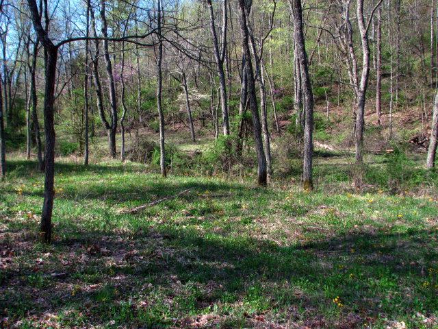 0 Shumway Hollow Minford, OH 45653