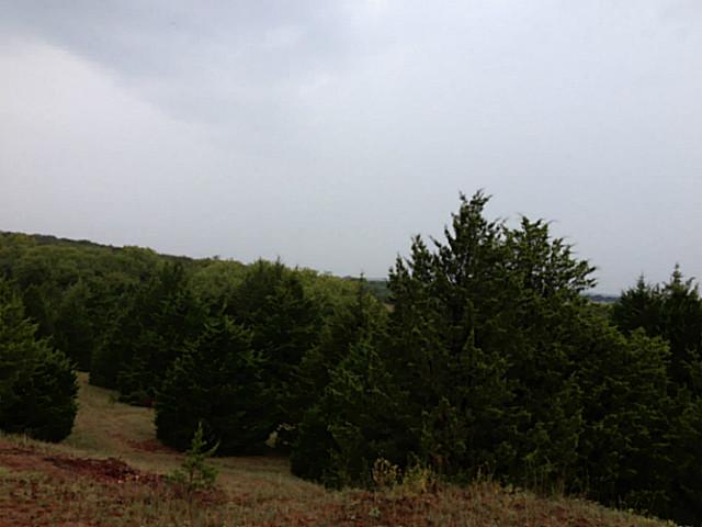 40 ACRES E Prairie Grove Road Coyle, OK 73027