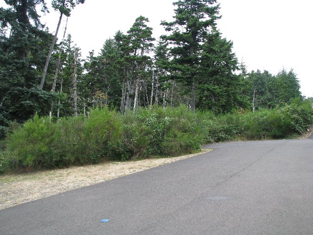 VL Hillsdale Oceanside, OR 97134