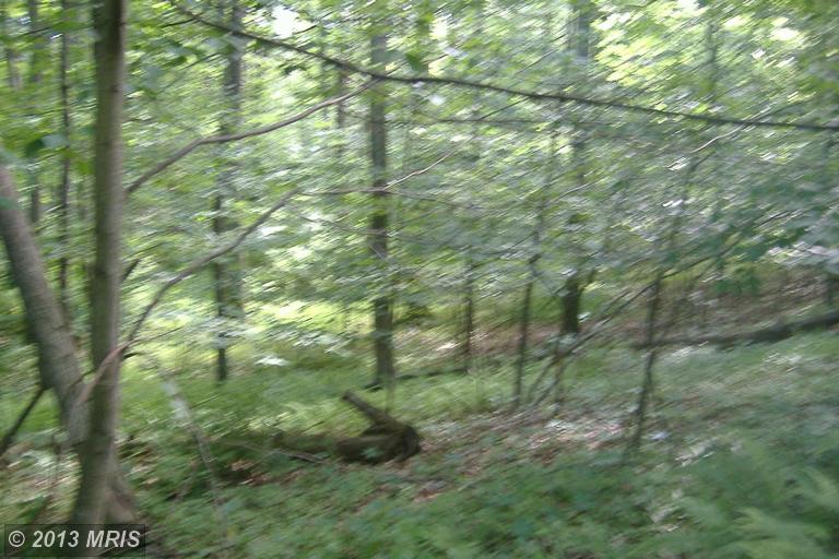 Lot 16 Summers Rd Robertsdale, PA 16674