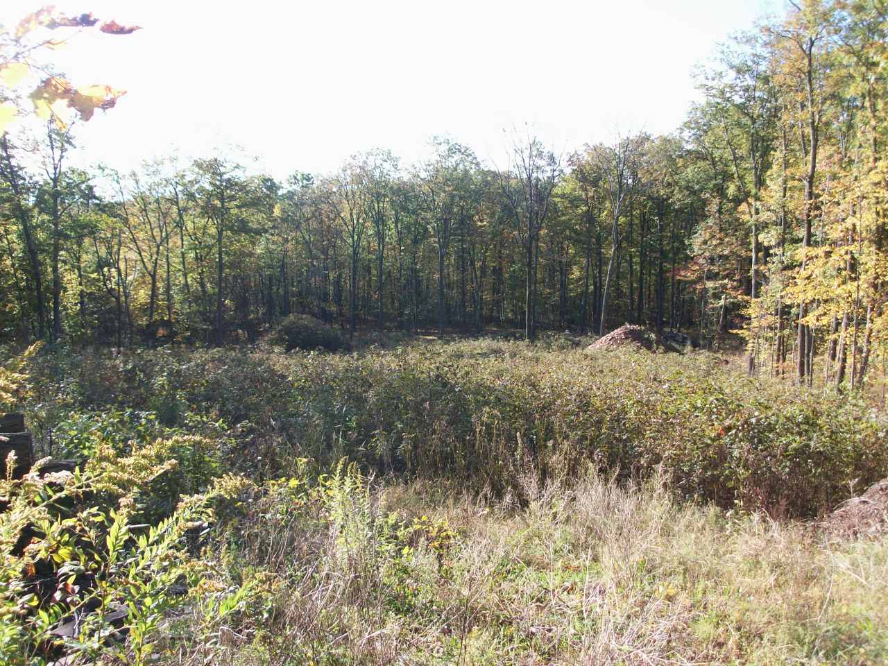 13 Conyngham Crest Drive Sugarloaf, PA 18249