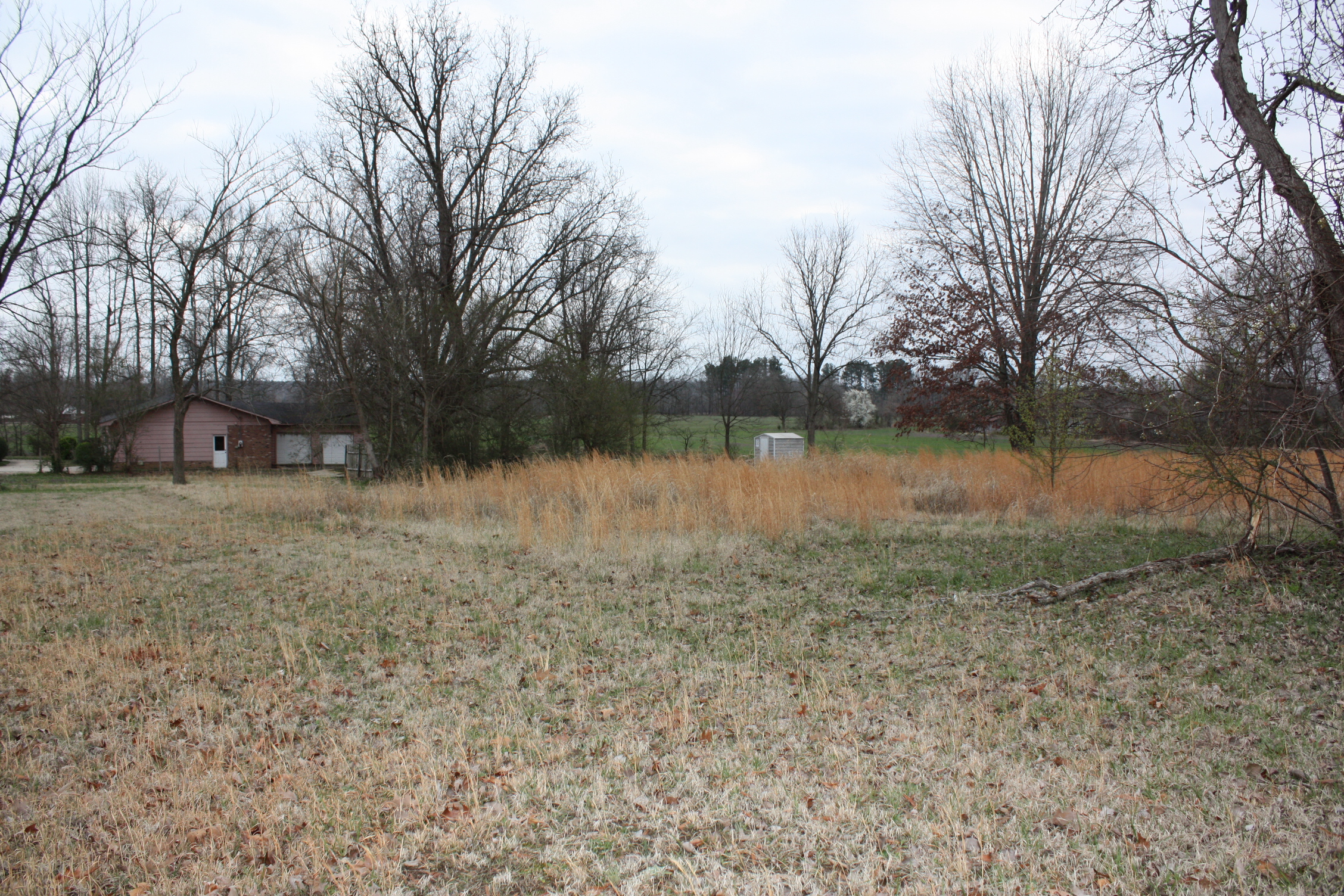 Hwy 45 S Ramer, TN 38367