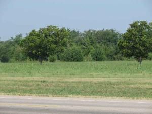82 E HWY 82 Highway #LOT 1 Dodd City, TX 75438