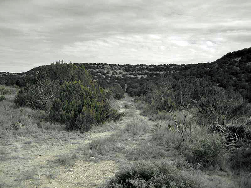 Tract 21 Dog Canyon Trail Ozona, TX 76943