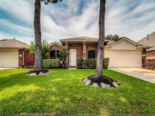 6915 Kettle Mar Dr Houston, TX 77084