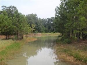 388 County Road 3892 Cleveland, TX 77328