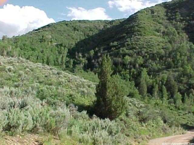 158 N Windyridge Rd Echo, UT 84024