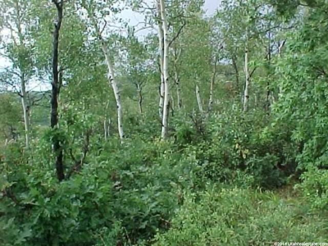 121 Skyline Dr Echo, UT 84024