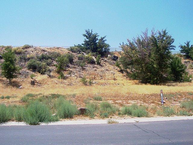 1452 S Cholla Lot #53 Toquerville, UT 84774