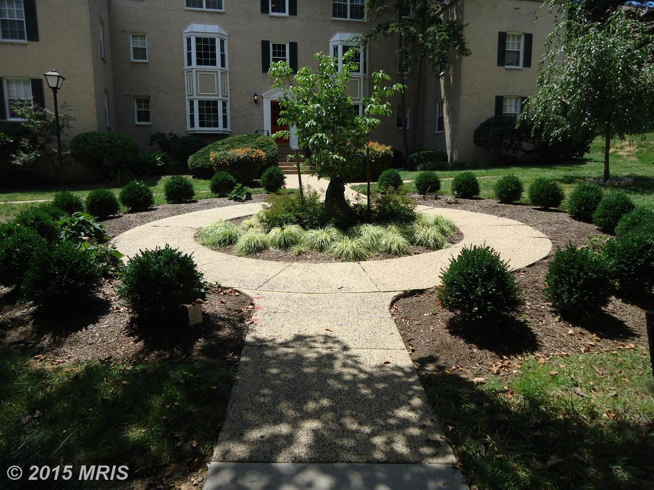 812 N Arlington Mill Dr #7-201 Arlington, VA 22205