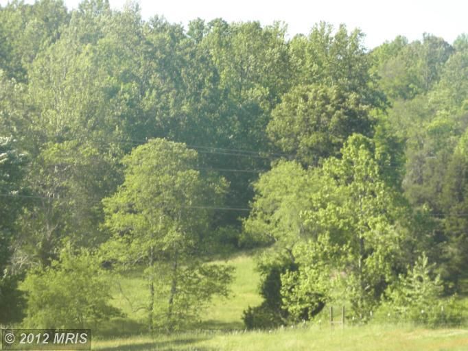 WOODWARD HOLLOW Banco, VA 22711