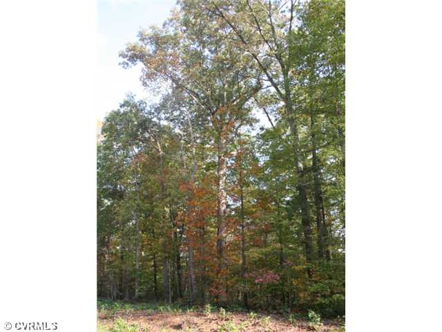302 Dogwood Road Arvonia, VA 23004