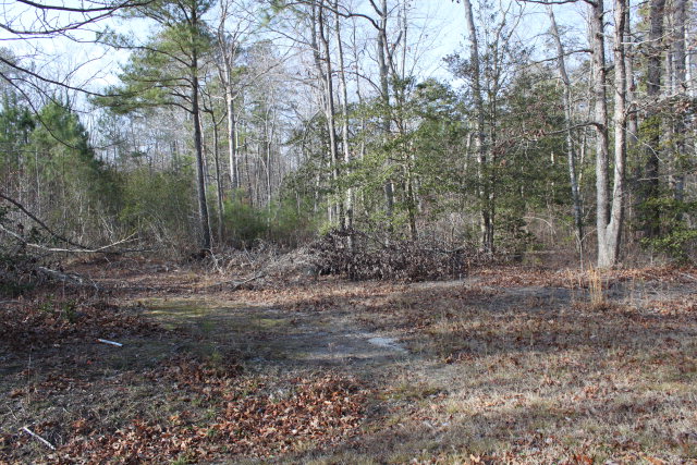 Lot 13 Thoreau Drive Birdsnest, VA 23307