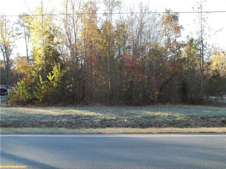 .93 AC BROADWATER ROAD Ivor, VA 23866
