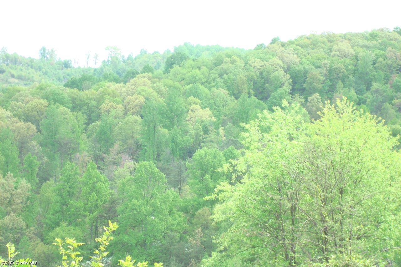 Rocky Hollow Rd Pembroke, VA 24136