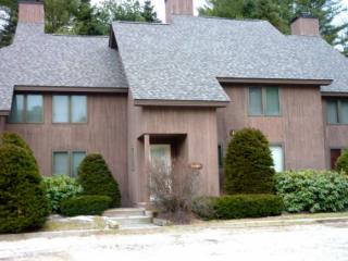 195 Upper Bear Lane Bear Crk #C-11 Jamaica, VT 05343