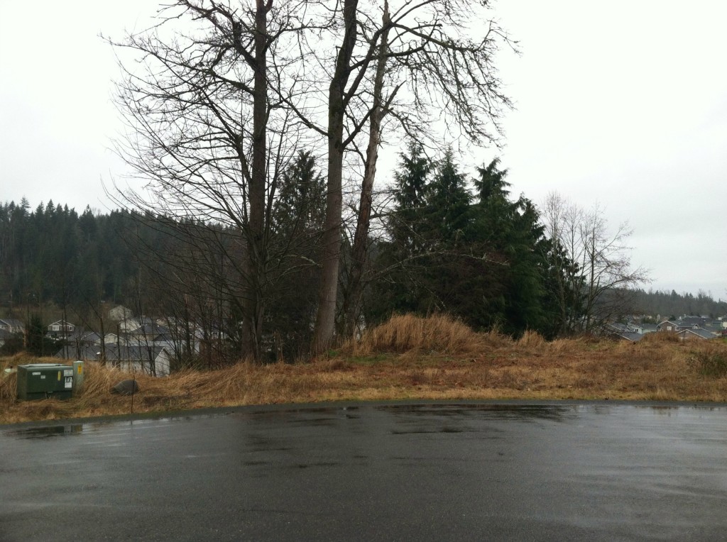 25214 159 St Ct Buckley, WA 98321