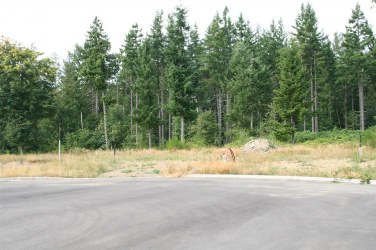 110 Hopkins Place Lot: 4 Carbonado, WA 98323