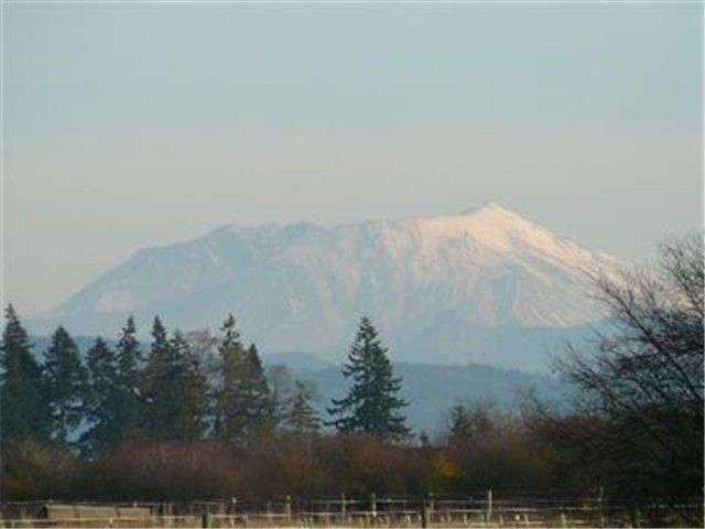 144 Skyhawk Dr Lot: 9 Toledo, WA 98591