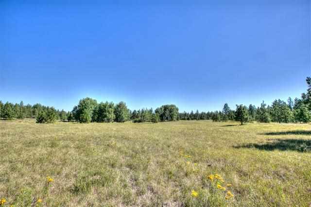 17201 S Stentz Rd Spangle, WA 99031