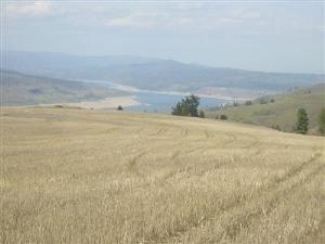 35705 Arm View Lane N Lot: 6 Creston, WA 99117