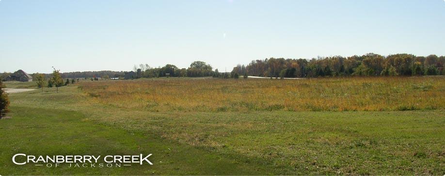 Lt49 Marshland Dr Jackson, WI 53037