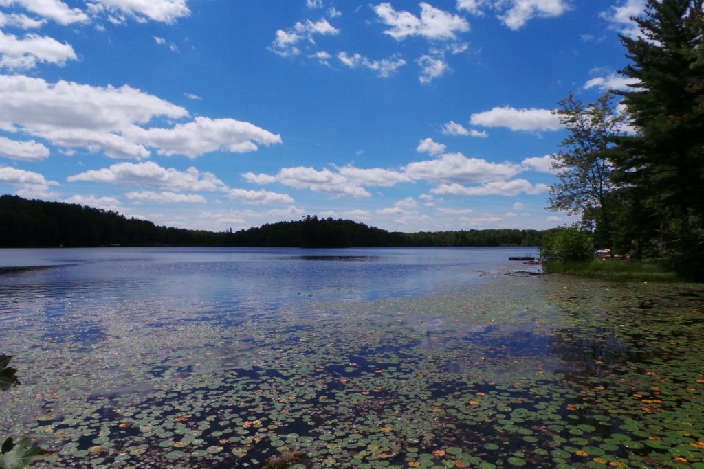 W2922 Rustic Road #1 Rib Lake, WI 54470