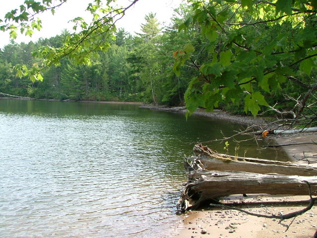 Off Us Hwy 51 South Manitowish Waters, WI 54545